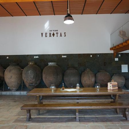 Turismo Rural Pedremoura Konuk evi Vila Ruiva  Dış mekan fotoğraf