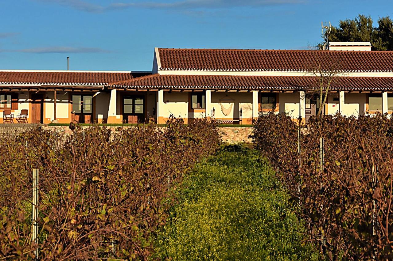Turismo Rural Pedremoura Konuk evi Vila Ruiva  Dış mekan fotoğraf