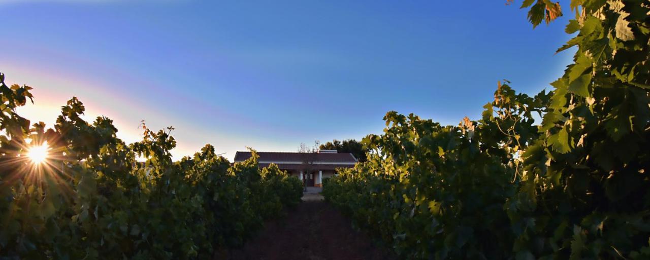 Turismo Rural Pedremoura Konuk evi Vila Ruiva  Dış mekan fotoğraf