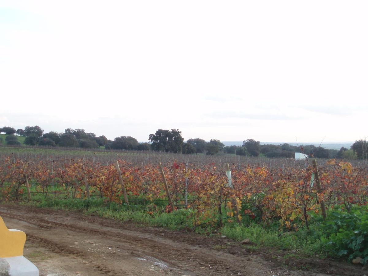 Turismo Rural Pedremoura Konuk evi Vila Ruiva  Dış mekan fotoğraf